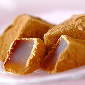 奥三河だんご屋総本舗 真田庵<br>催事販売